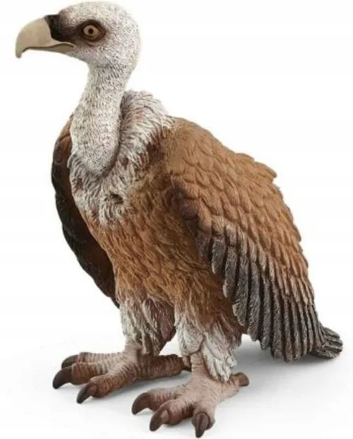 sep