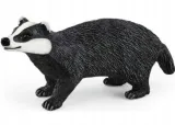 borsuk