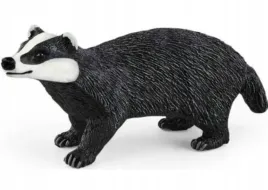 borsuk