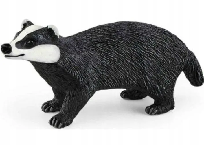 borsuk