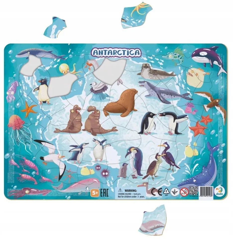 puzzle-ramkowe-53-antarktyda