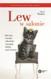 lew-w-salonie