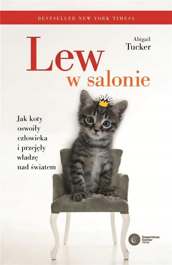 lew-w-salonie