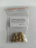 nasturcja-pnaca-mix-nasiona-rodzaj-rosliny-inny-cykl-rozwojowy-rosliny-jednoroczna