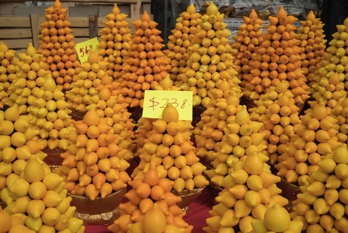 nipplefruit-oryginalny-owoc-striptizerow-nasiona-rodzaj-rosliny-inny