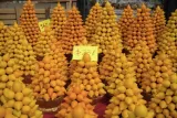 nipplefruit-oryginalny-owoc-striptizerow-nasiona-rodzaj-rosliny-inny