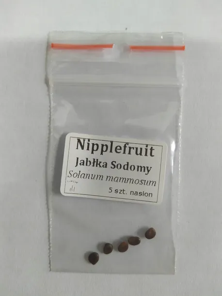 nipplefruit-oryginalny-owoc-striptizerow-nasiona-rodzaj-rosliny-inny