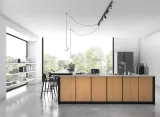 cameleon-mounting-a