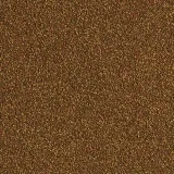 tropical-triops-10g-masa-10-g