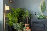 schneider-design-gniazdo-schuko-ladow-usb-czarn-marka-schneider-electric