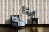 fototapeta-panel-208-x-146-cm-stan-nowy