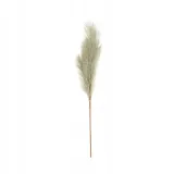 trawa-plume-77-cm