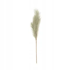 trawa-plume-77-cm
