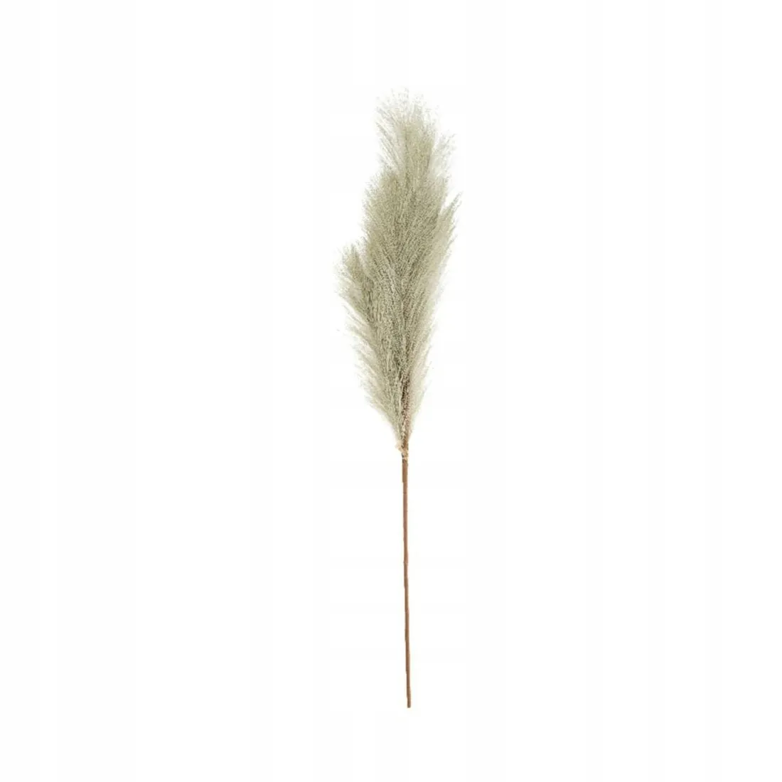 trawa-plume-77-cm