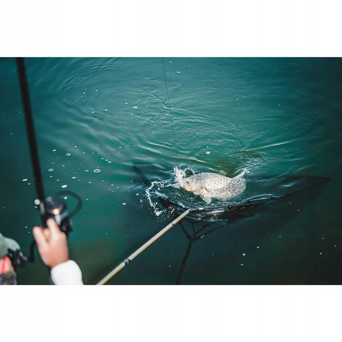 podbierak-karpiowy-carpnet-500