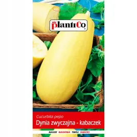 cukinia-nasiona