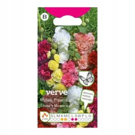 nasiona-malwa-chaters-verve-mix