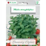 mieta-okraglo-listna-01g-stan-nowy