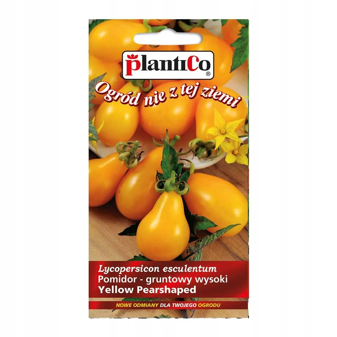 pomidor-yellow-pearshaped