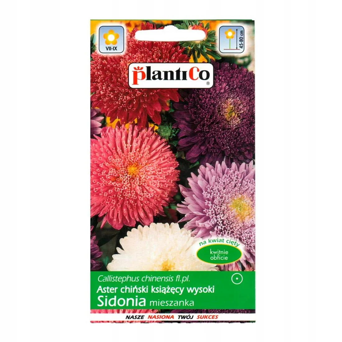 aster-sidonia-mix