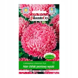aster-chinski-peoniowy-rozowy