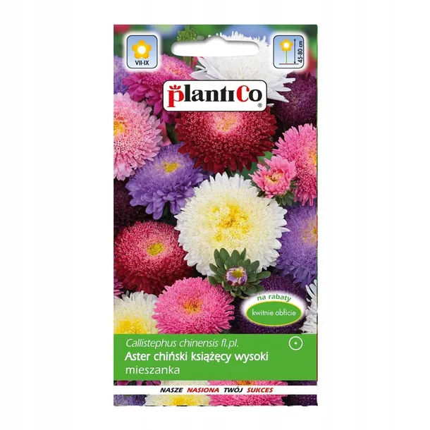 aster-chinski-ksiazecy-mix