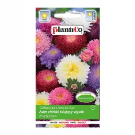 aster-chinski-ksiazecy-mix