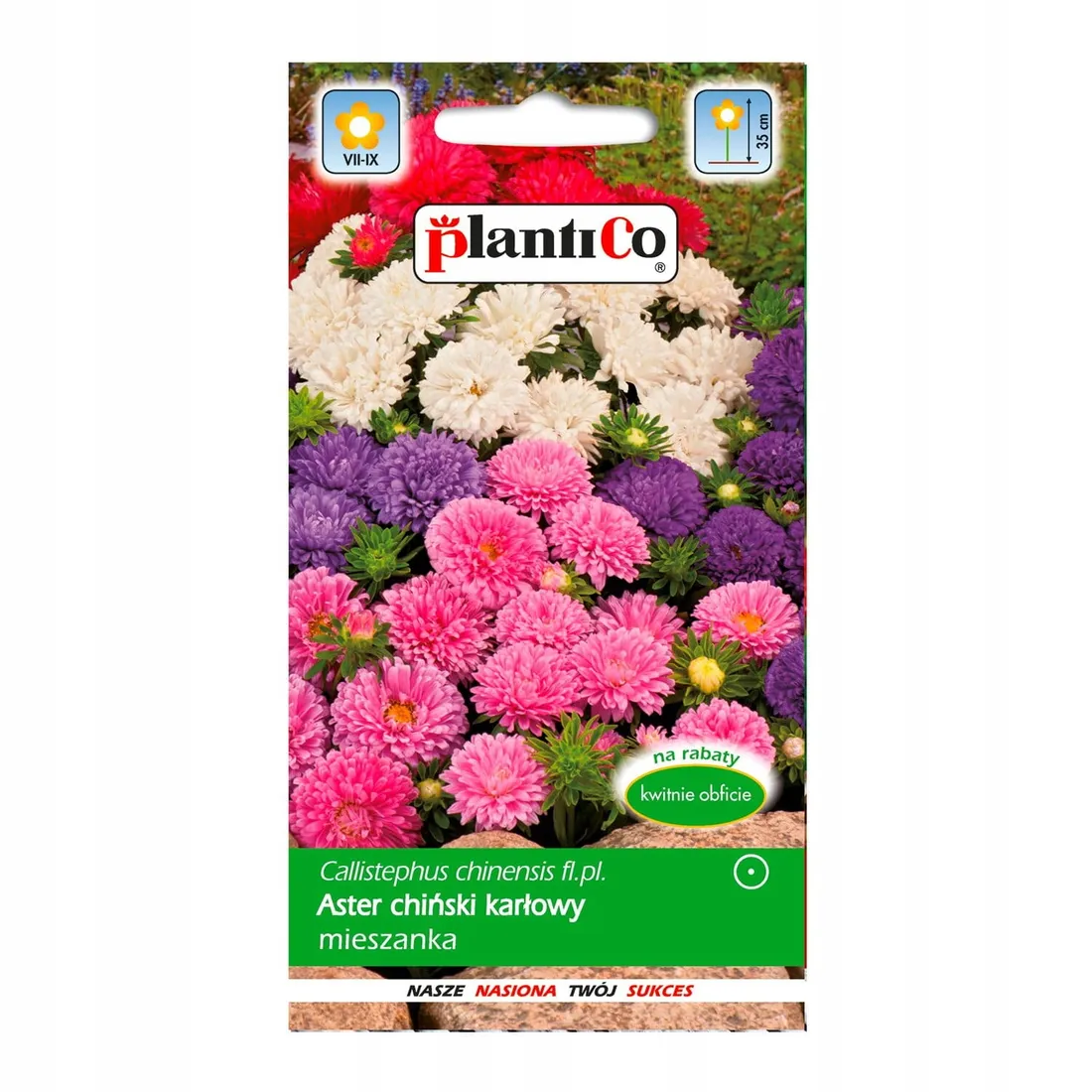 aster-chinski-karlowy-mix