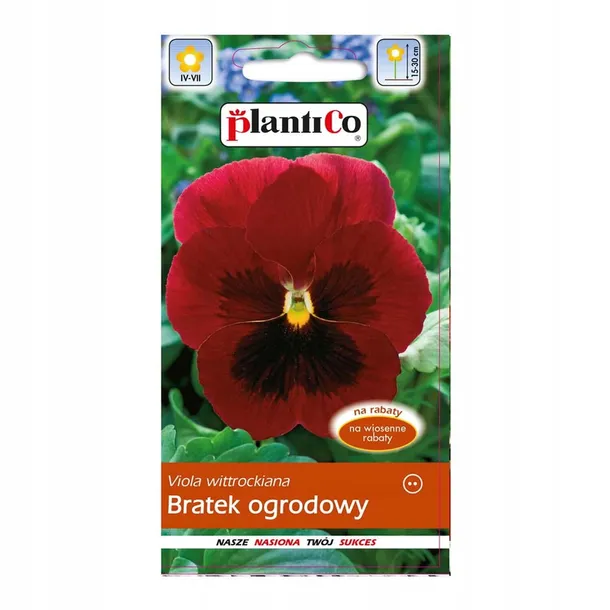 bratek-ogrodowy-czerwony