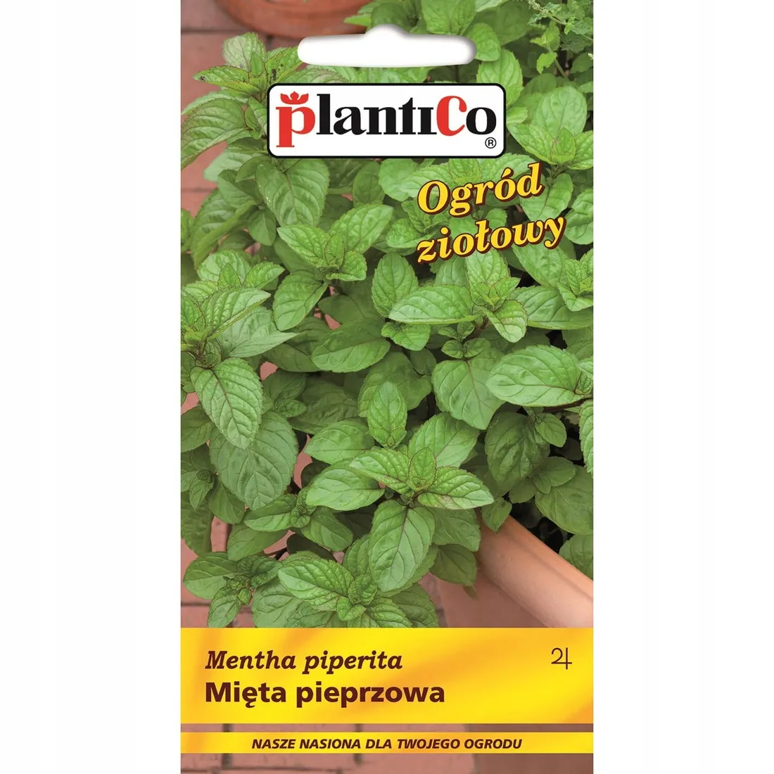 mieta-pieprzowa