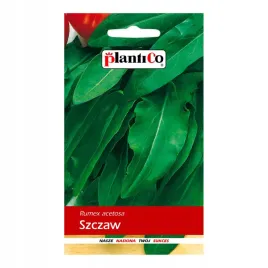 szczaw