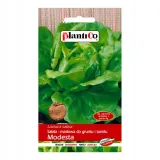 salata-modesta