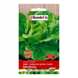 salata-modesta