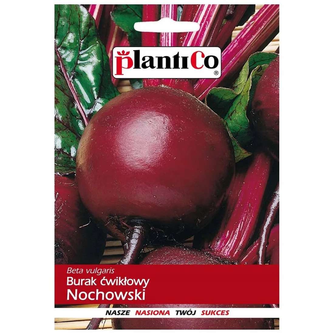 burak-cwiklowy-nochowski