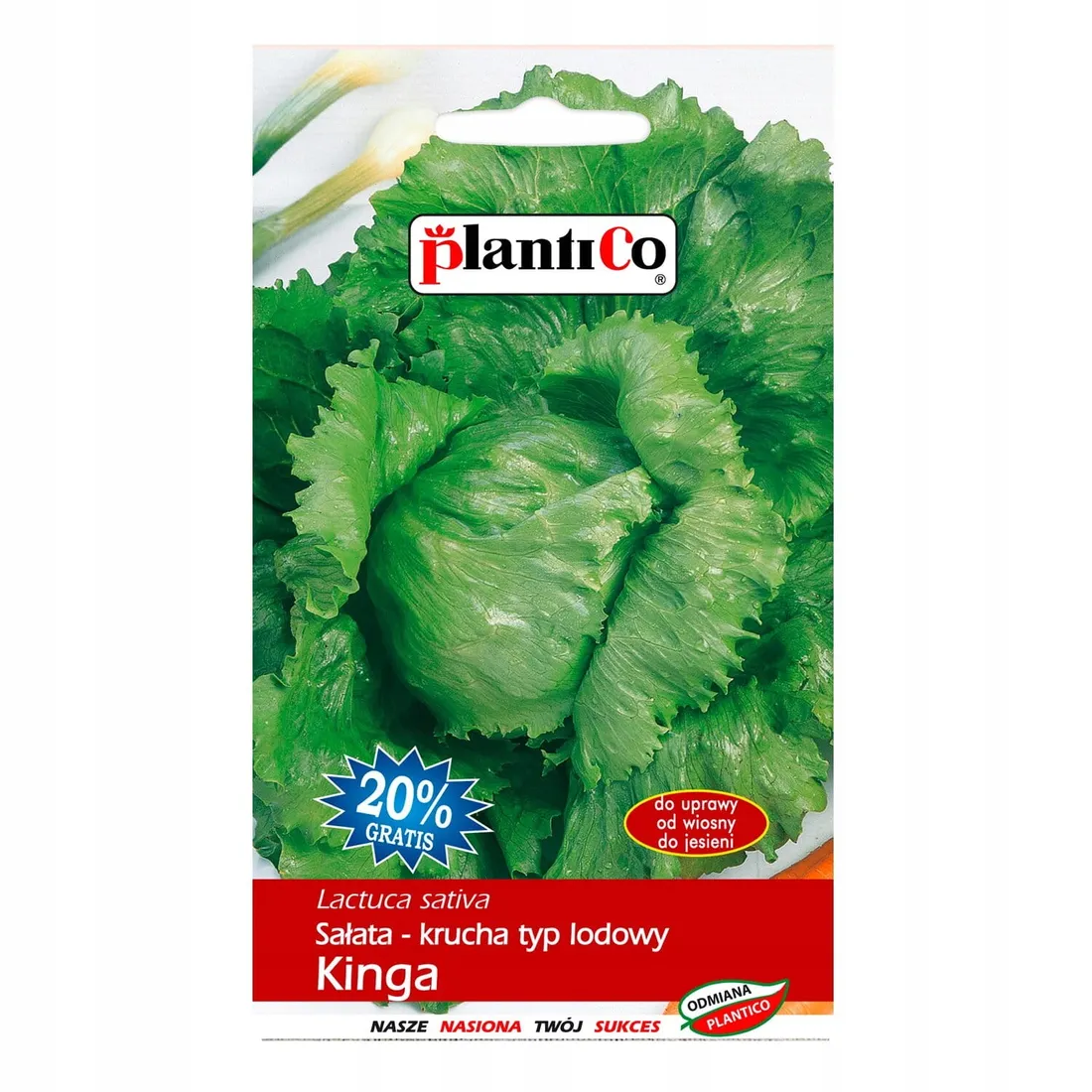 salata-krucha-kinga