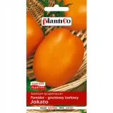 pomidor-jokato-05g