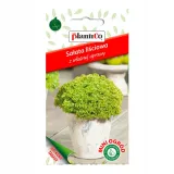 salata-lollo-bionda-mini-ogrod-stan-nowy