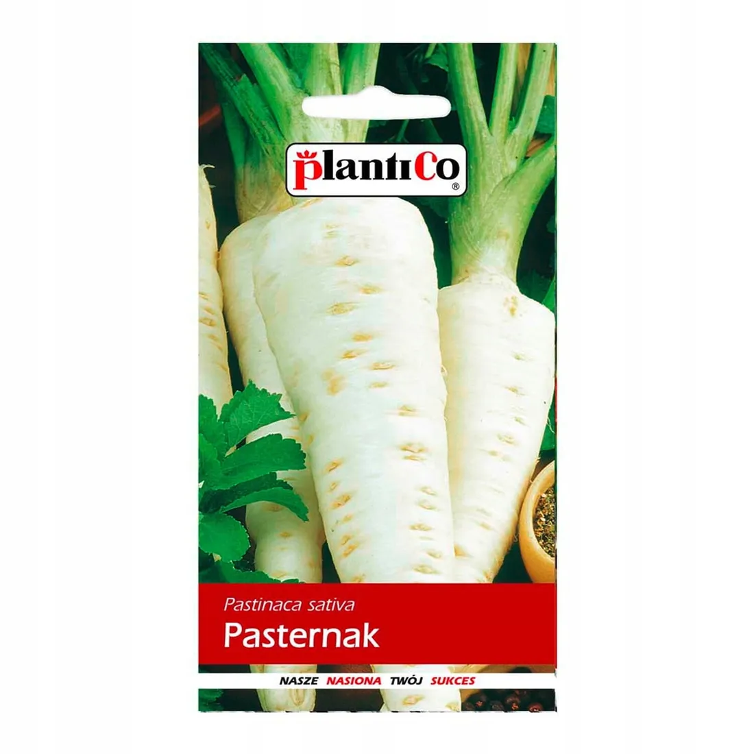 pasternak