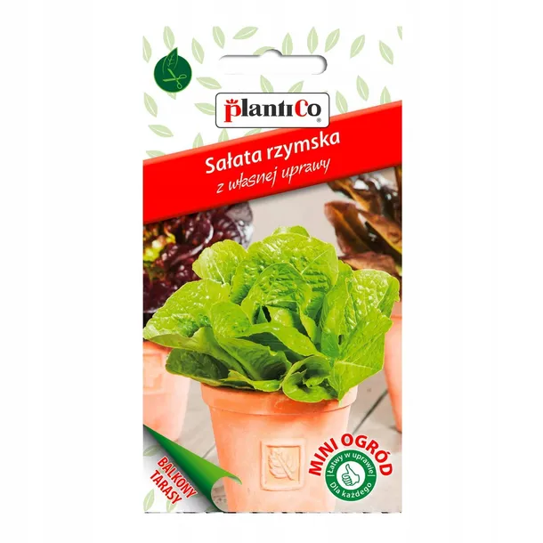 salata-rzymska-mini-ogrod