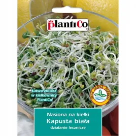 nasiona-na-kielki-kapusty