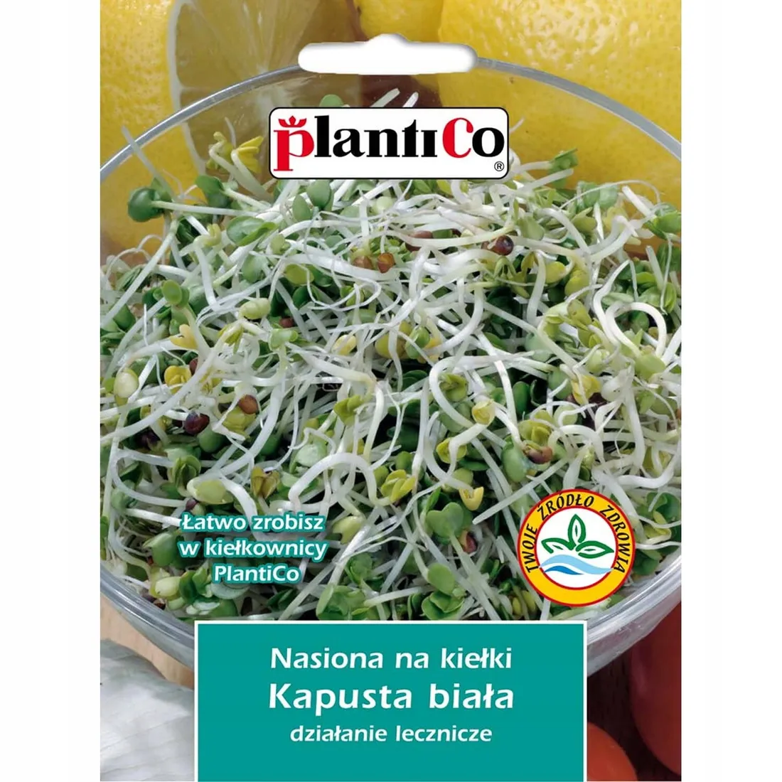 nasiona-na-kielki-kapusty