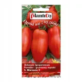 pomidor-san-marzano