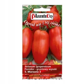 pomidor-san-marzano
