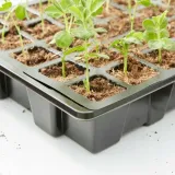 wysiewnik-plastikowy-verve-1-stan-nowy-grubosc-1-mm