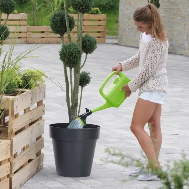 srednie-sitko-prosperplast-isit6-stan-nowy