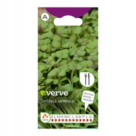 nasiona-gorczyca-verve