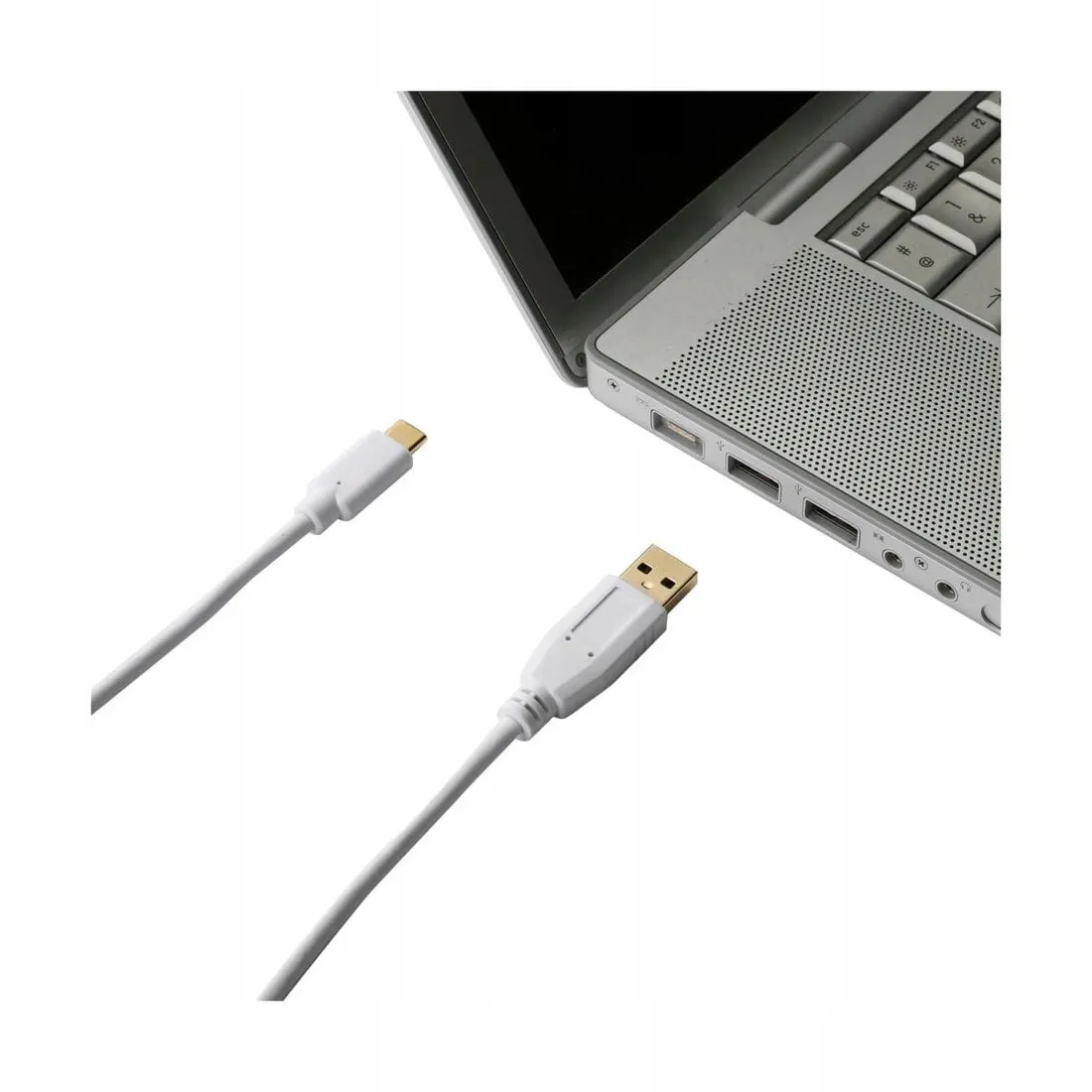 przewod-usb-c-usb-a-2-m-evology
