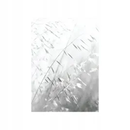 plakat-trawa-70-x-100-cm