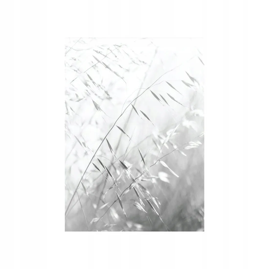 plakat-trawa-70-x-100-cm