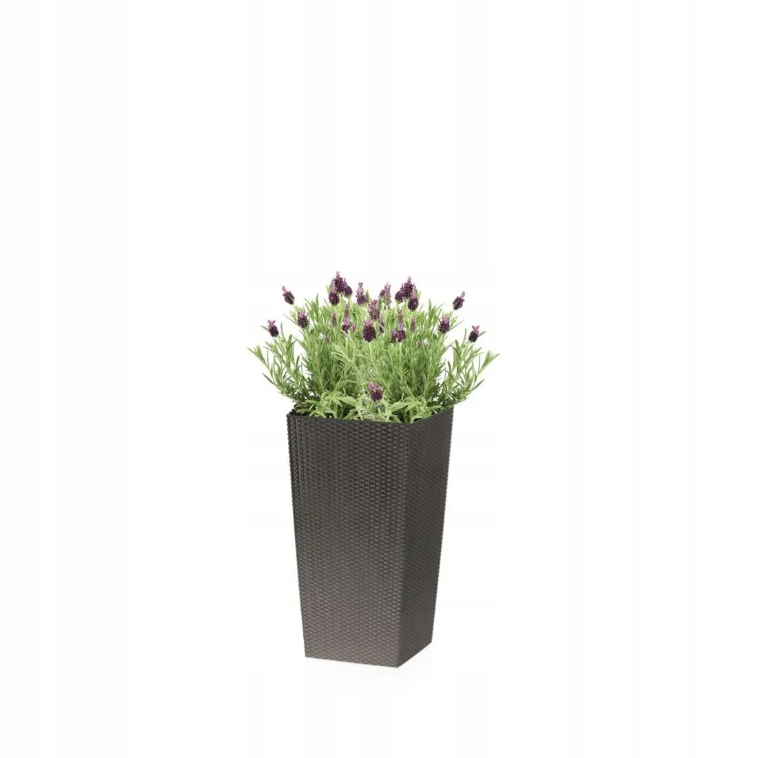 oslonka-rato-square-26-5-cm
